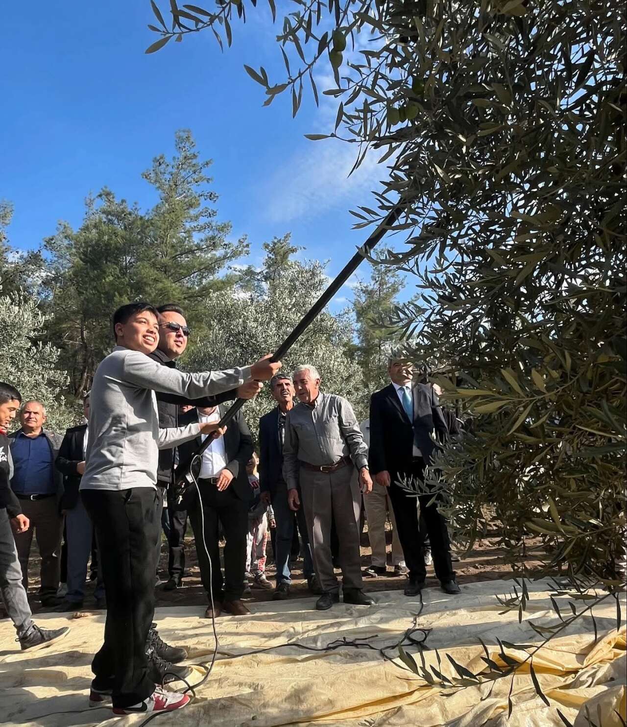 Kavaklıdere’de Zeytinin Bereketi Tarihle Buluştu 4